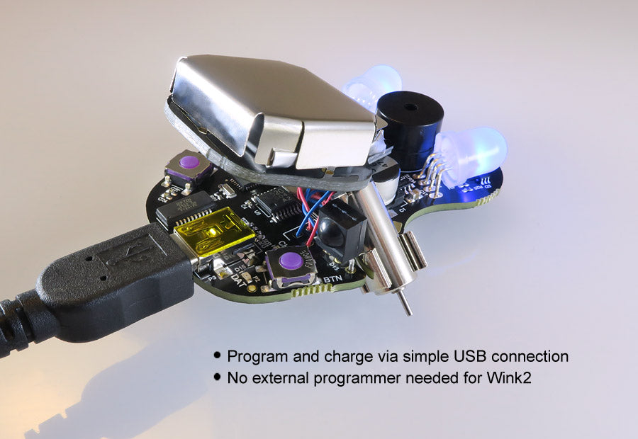 WinkBot Robot (no remote)